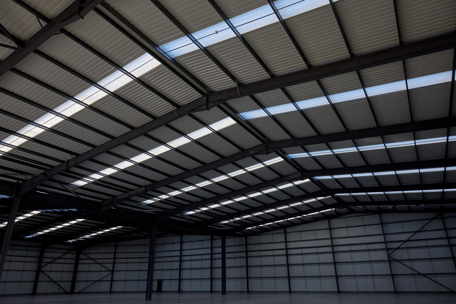 Roof cladding with roof lights