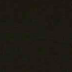 Van-Dyke-Brown-Polyester-08B29